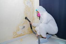 Best Asbestos and Lead Testing During Mold Inspection  in Cattaraugus, NY